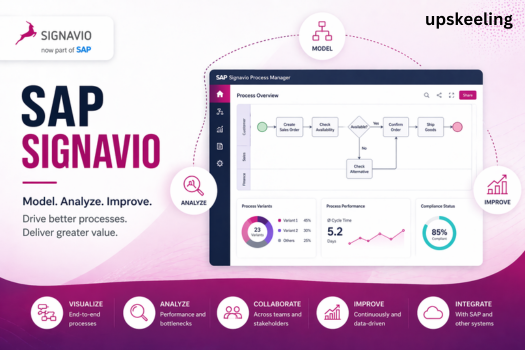 SAP SIGNAVIO cover