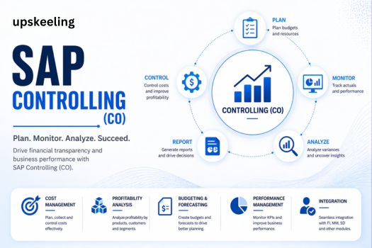 SAP Controlling (CO) cover