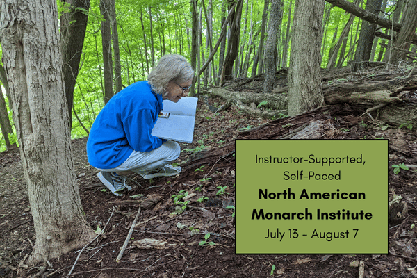 North American Monarch Institute: Summer 2026 cover