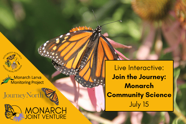 Join the Journey: Monarch Community Science (July 2026) cover