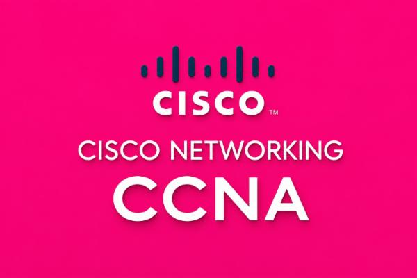 CCNA (Cisco Certified Network Associate) Training Program  course preview