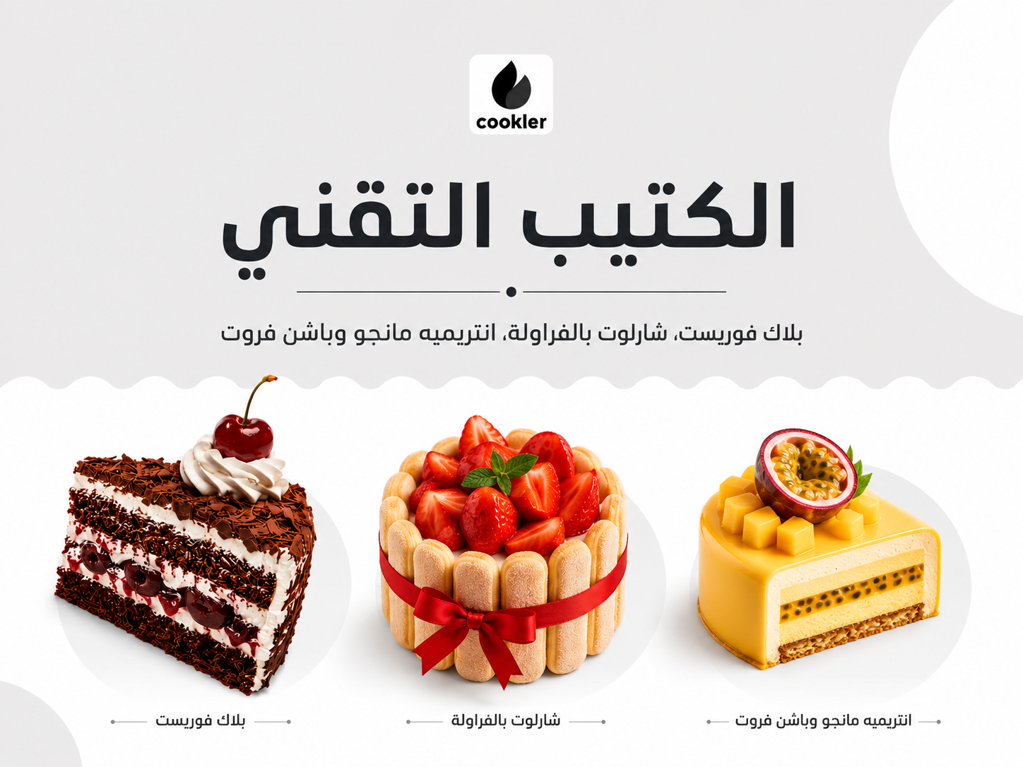 كتيب تقني على شكل PDF