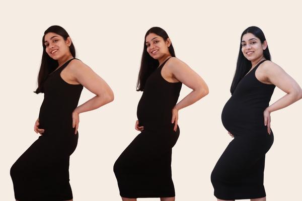 Pregnancy Week by week (Week 4 to 14) cover