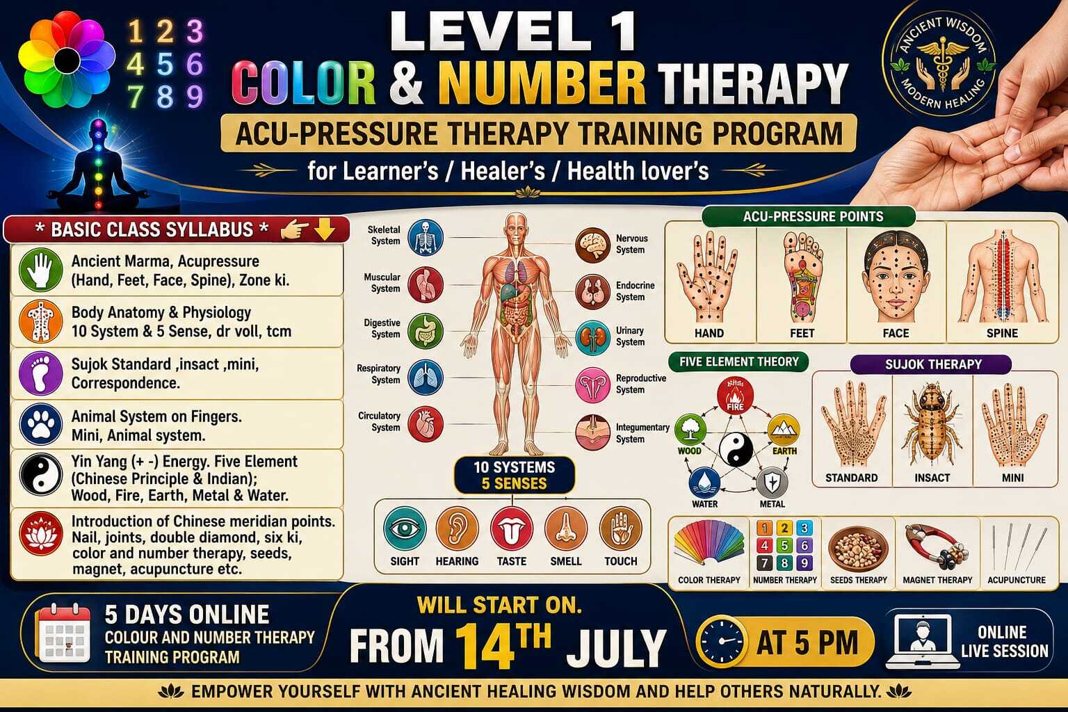 Level 1 color & Number Therapy Acu-Pressure Therapy Training program for Learner's/ Healer's/ Health lover's cover