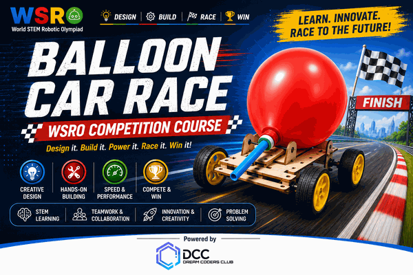 WSRO Ballon car  cover