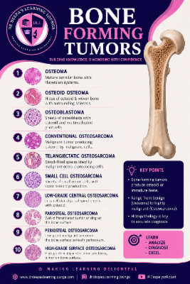 Bone Pathology Essentials : Slide seminar Session 1 cover