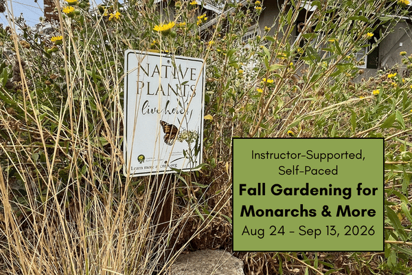 Fall Gardening for Monarchs and More - Fall 2026 (Instructor-supported, time-bound) cover