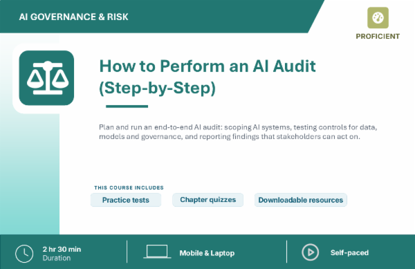 How to Perform AI Audit cover