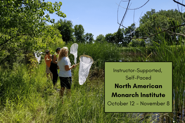 North American Monarch Institute: Fall 2026 cover