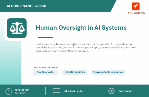 Understanding Human Oversight in AI Systems cover