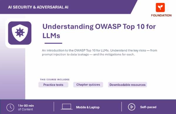 Understanding OWASP Top 10 for LLMs cover