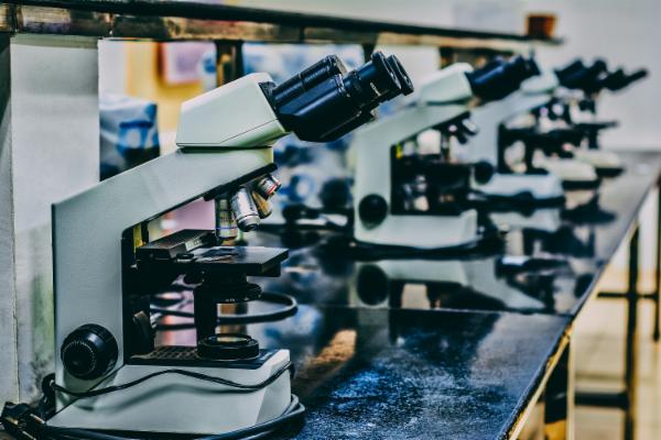 Year 10 GCSE Science – Biology & Chemistry | AQA Curriculum cover