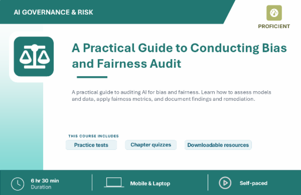 Conducting a Bias and Fairness Audit cover