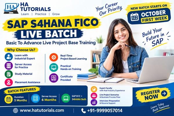 SAPS4HANA FICO B3 (Basic to Advance Live Course with Live Project) cover