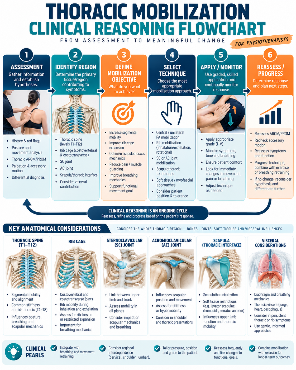 Thoracic Mobilization Reasoning Flowchart