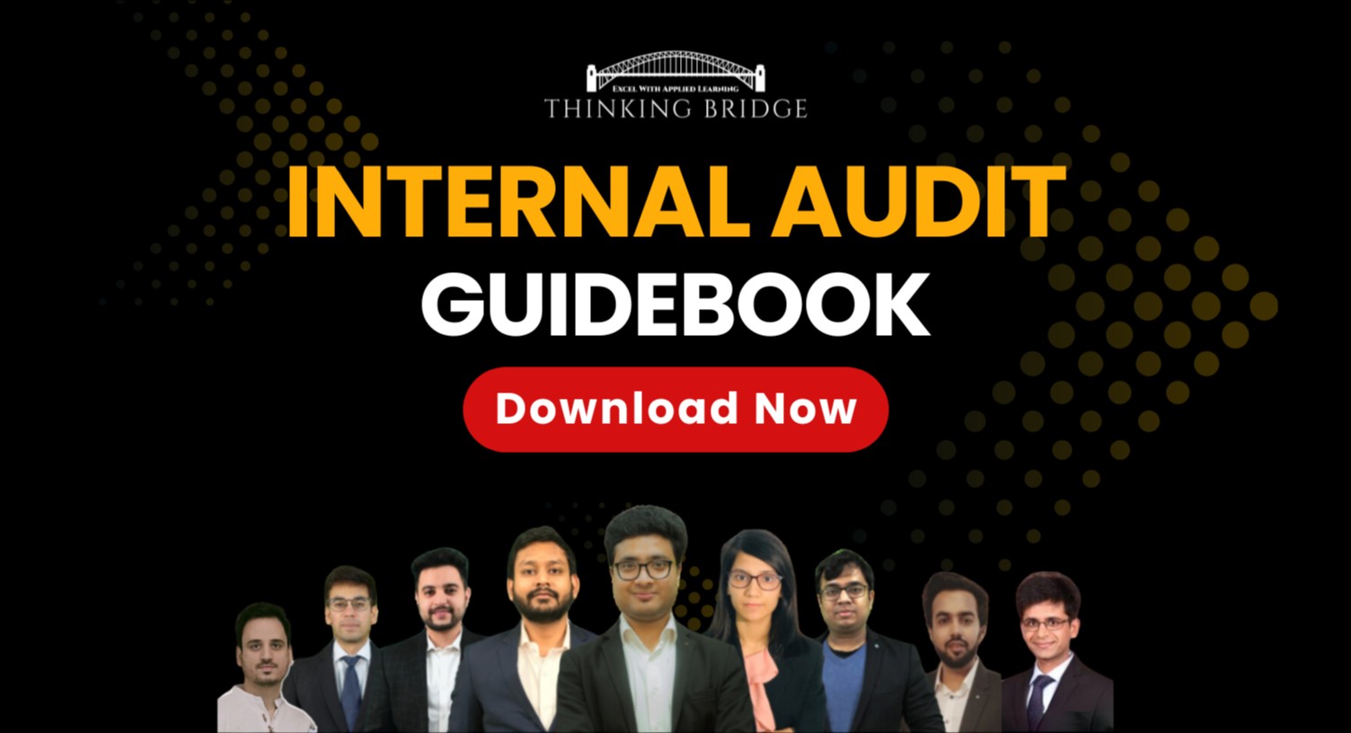 Internal Audit Interview GuideBook