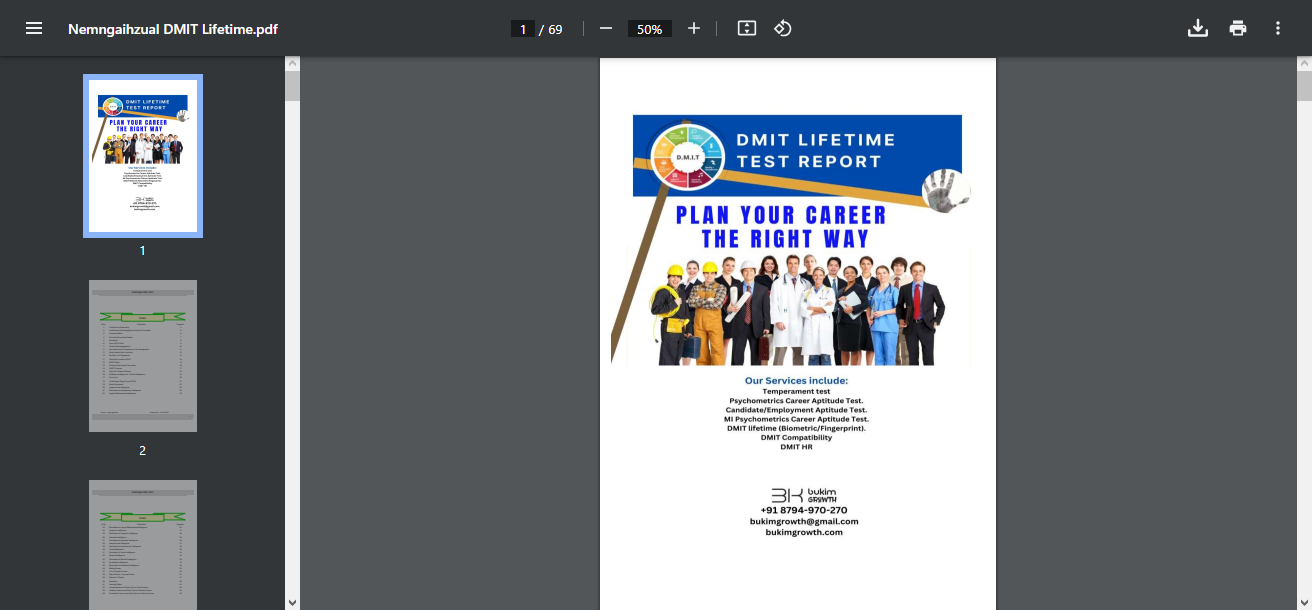 DMIT Lifetime Report Interpretation