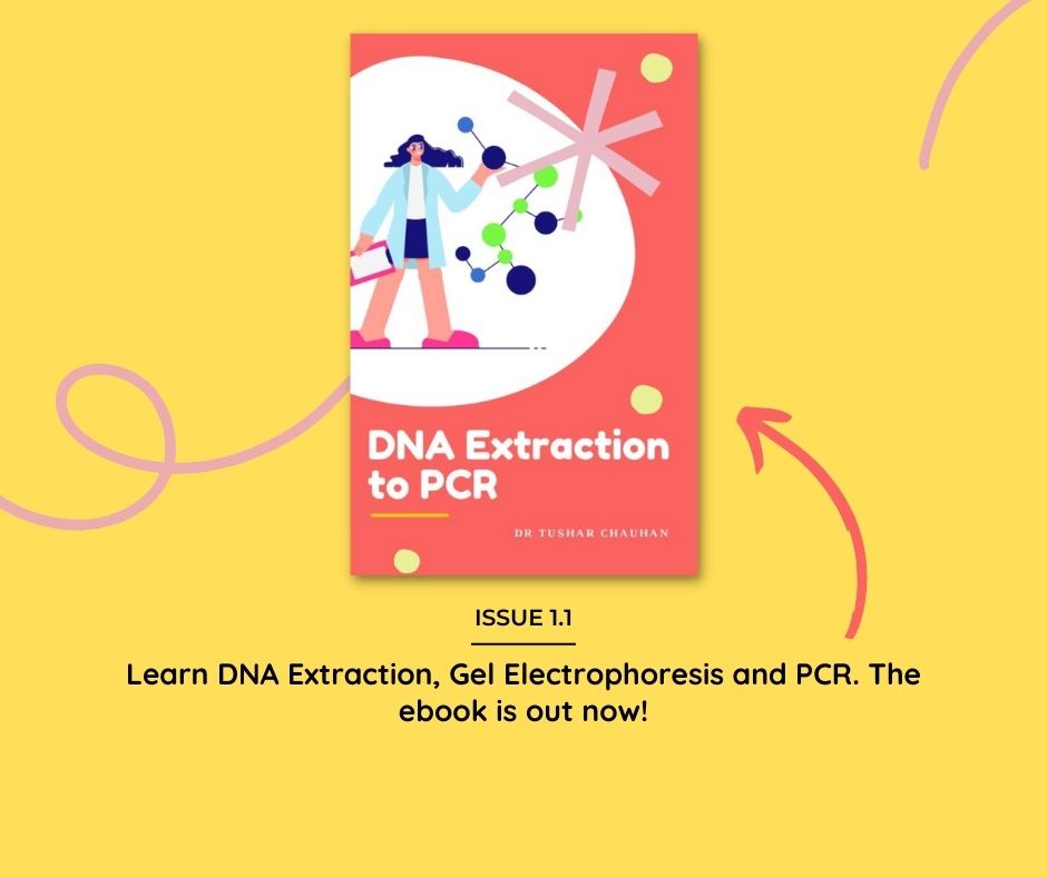From DNA Extraction to PCR (eBook)