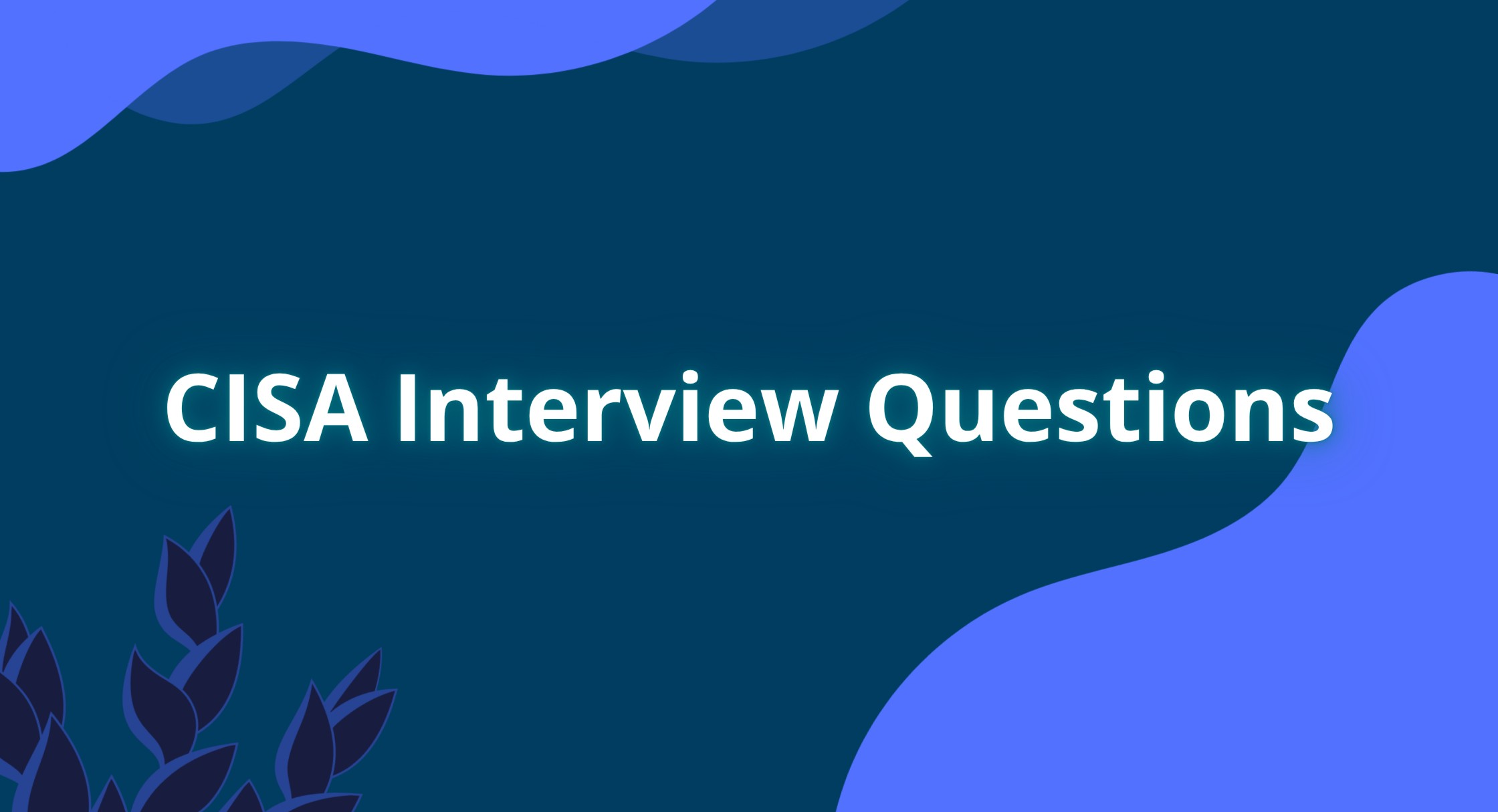 CISA Interview Questions