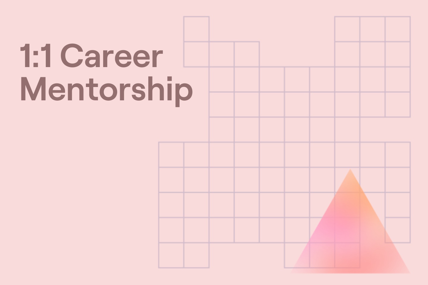 1:1 Career Mentorship