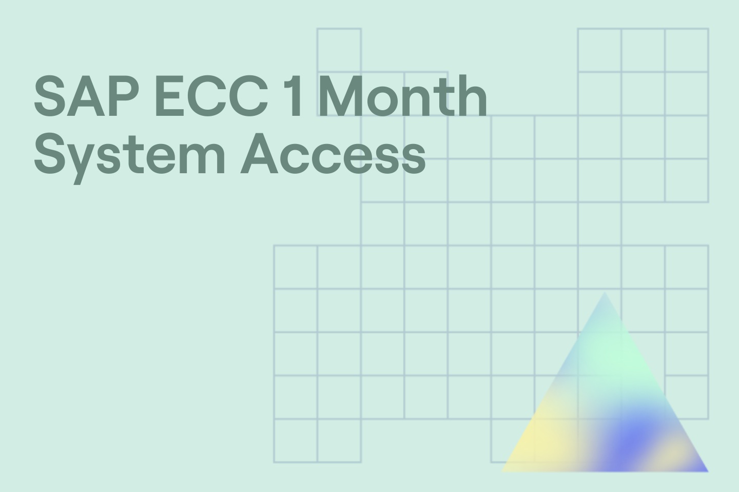 SAP ECC 1 Month System Access