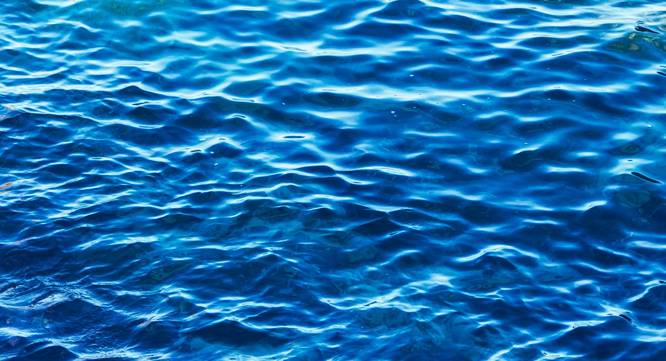Blue Ocean Strategy