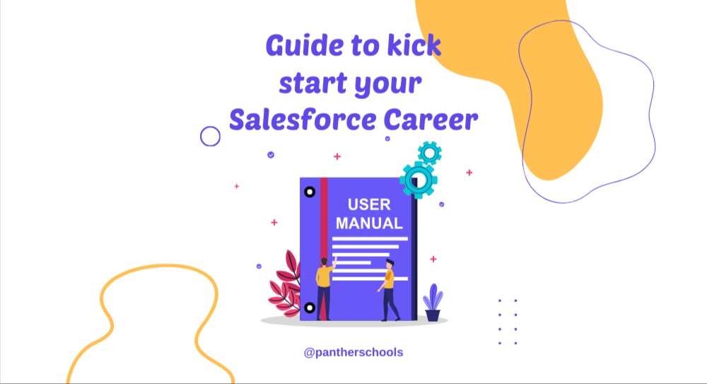 Salesforce Admin and Developer Path guide