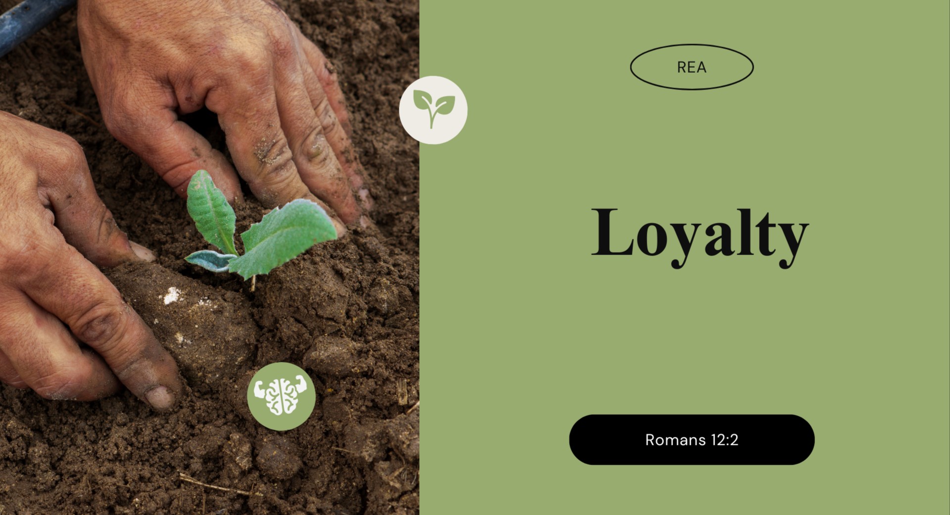 Loyalty in Relationships