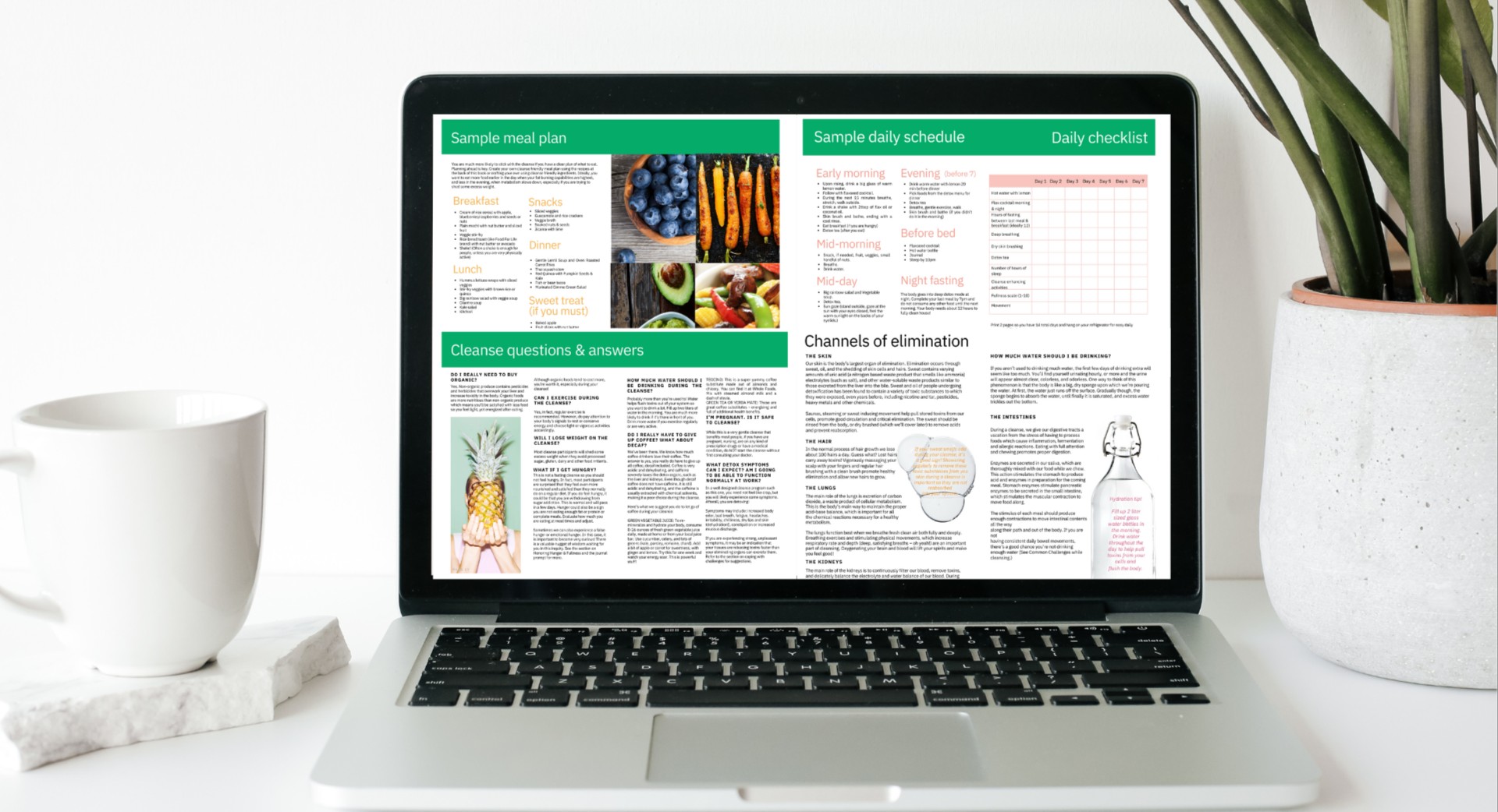 14 Day Reset Cleanse - For Mind & Body