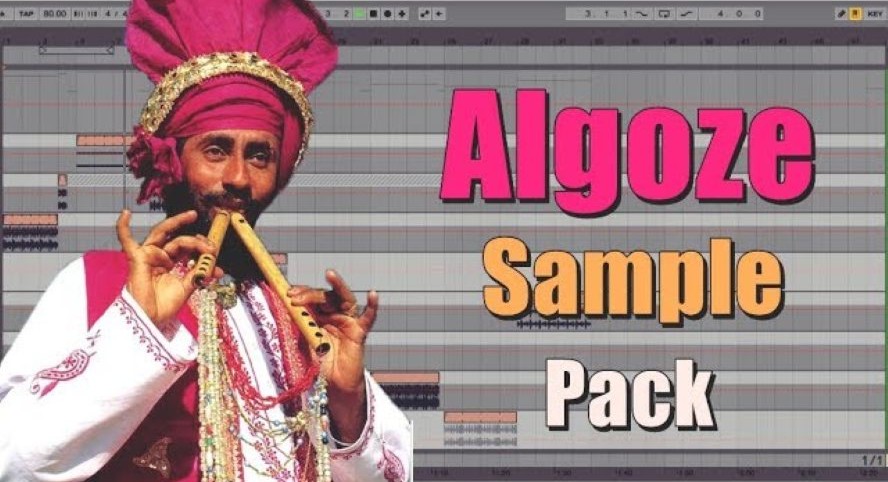Punjabi Algoza Loops