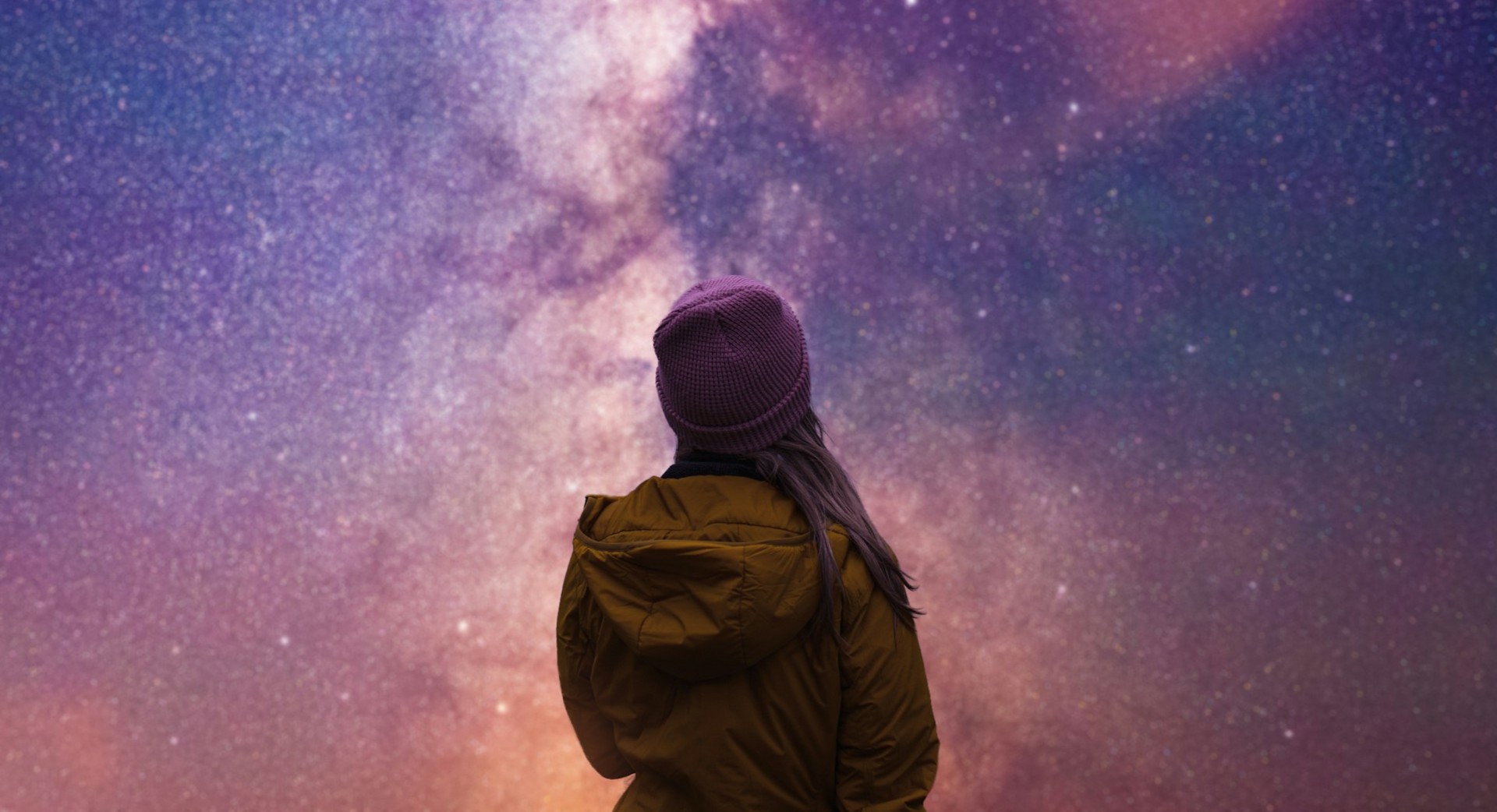 Career Insight & Guidance Bundle