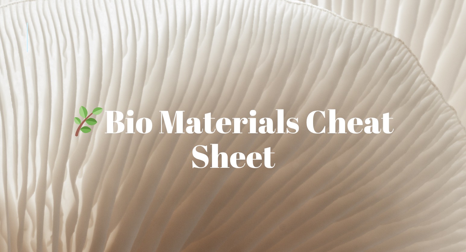 Bio-Materials Cheat Sheet for Fashion Brands
