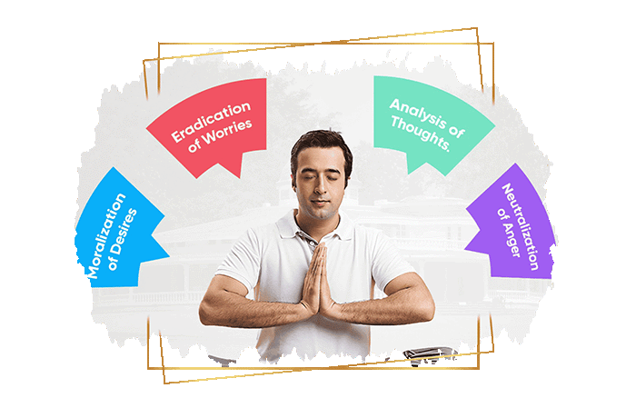 Introspection Programs