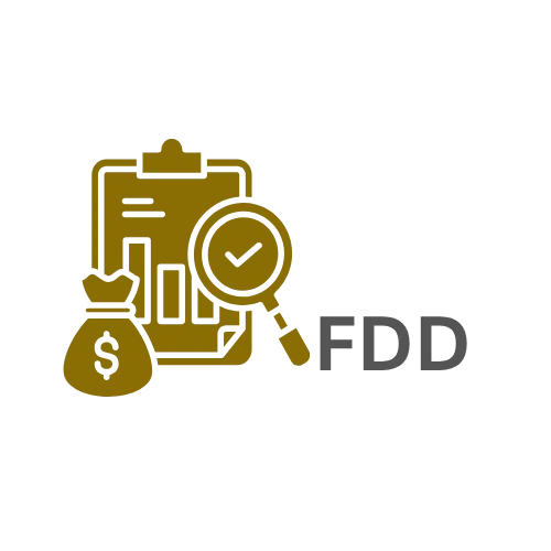 Financial Due Diligence (FDD) Masterclass