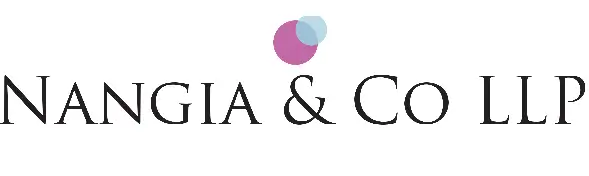 Nangia & Co Logo