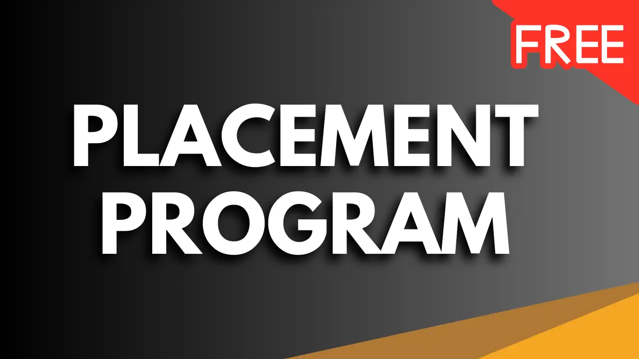 Thinking Bridge Placement Program