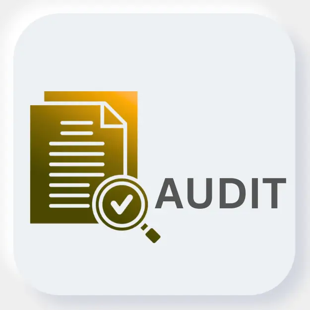Audit MasterClass