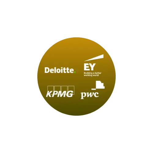 Big 4 MasterClass for College Students