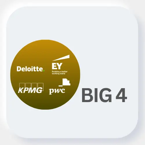 Big 4 MasterClass for College Students