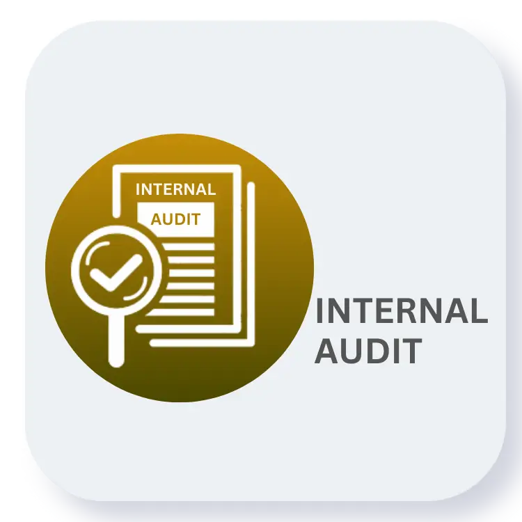 Internal Audit MasterClass
