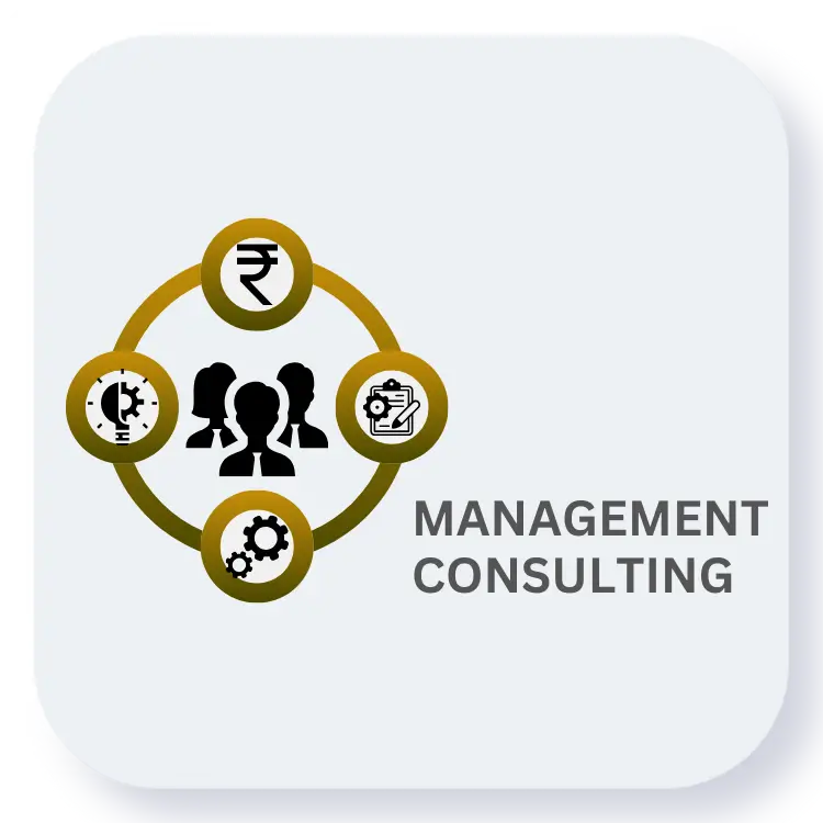 Management Consulting