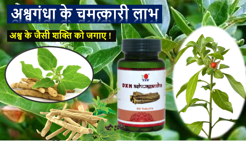 Benifits of Ashwagandha