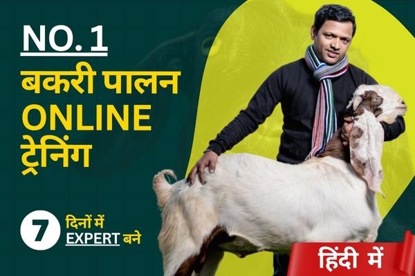 Goat Farming Business Course