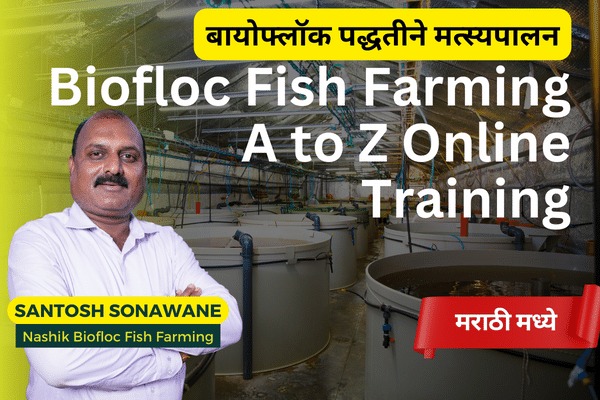 BioFloc Fish Farming