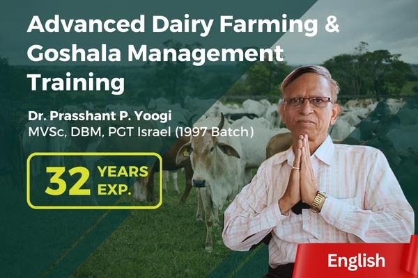 Advanced Dairy Farming Course