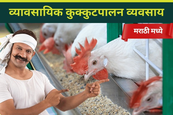 Poultry Business Course