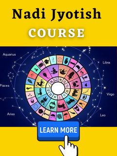nadi astrology course