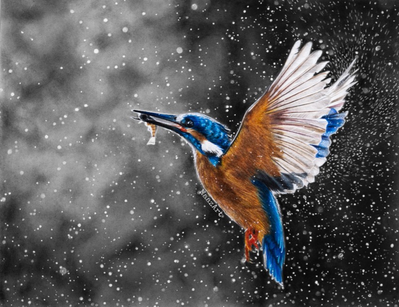 Color pencil and Charcoal on paper