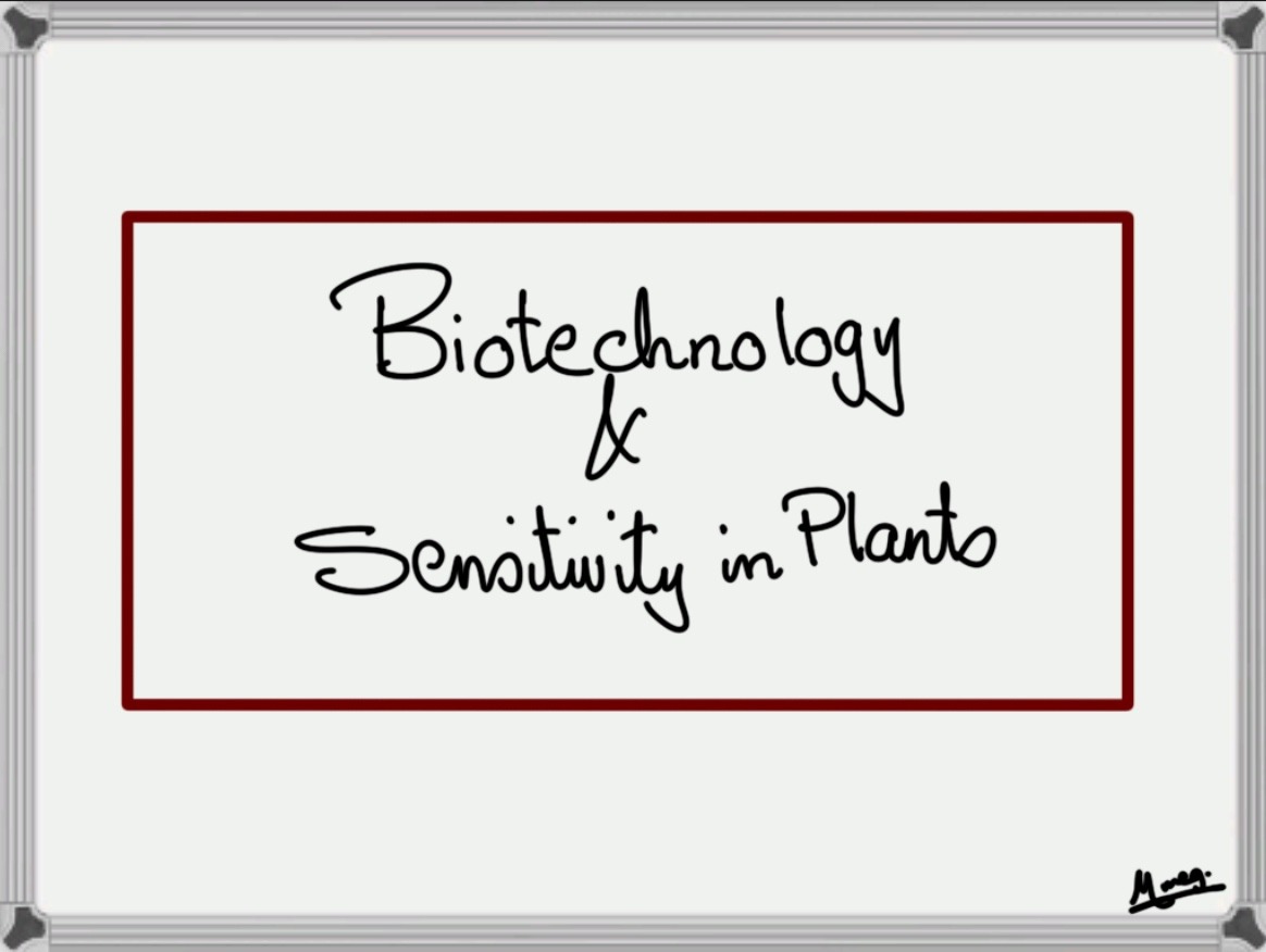 Biotechnology & Sensitivity in Plants