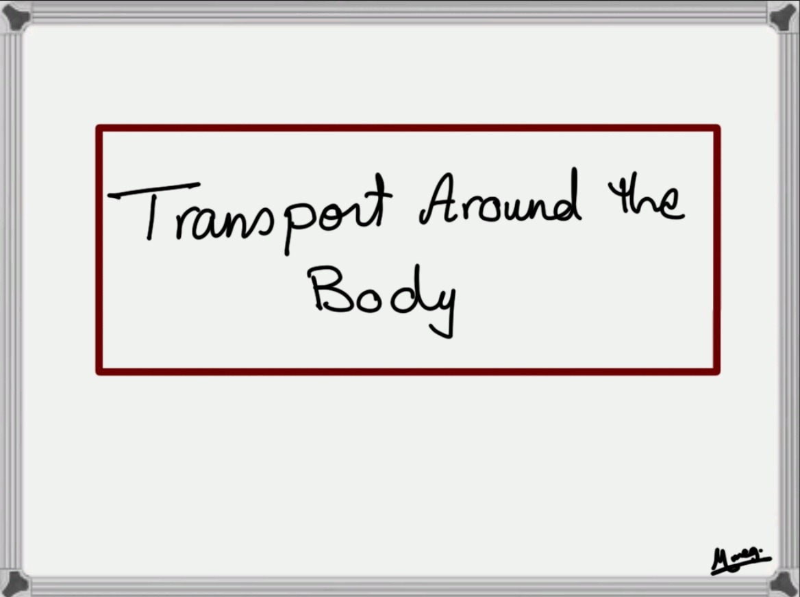 Chapter 1: Transport Around the Body